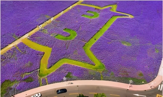 在天津住的体验,在天津住是什么感受