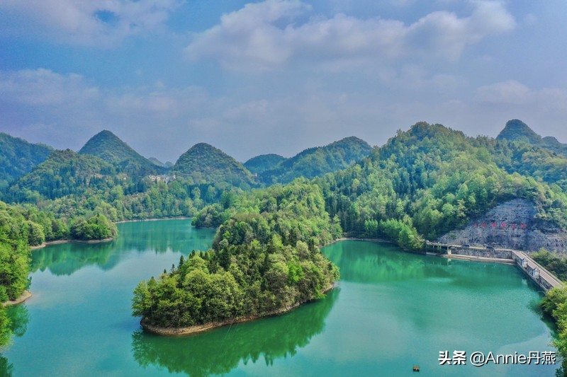 百里杜鹃花开如海,百里杜鹃百里盛开