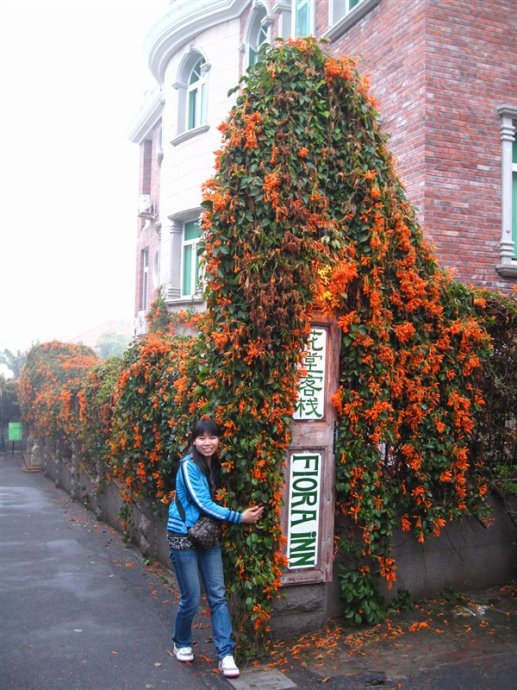 鼓浪屿必去的小店,厦门鼓浪屿最美小店