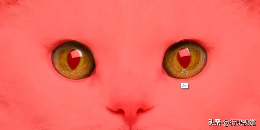 ps怎么把两只眼睛p成一样颜色,ps改图及抠图换背景颜色教程