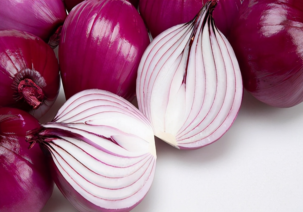 养宠心得:狗狗尿中有血是怎么回事?护理尿血狗狗的措施参考