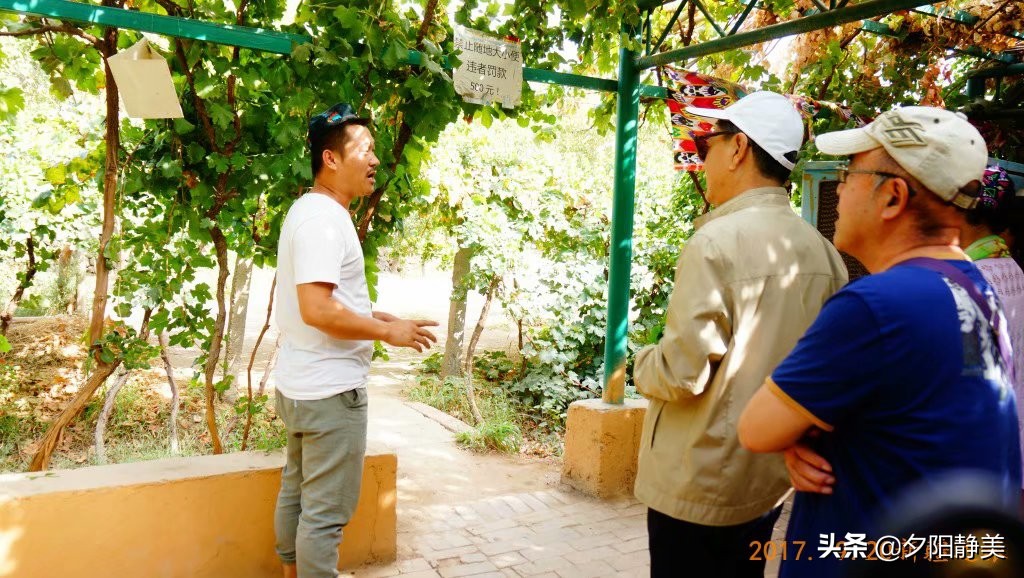 大美新疆葡萄沟,大美新疆享受视觉盛宴