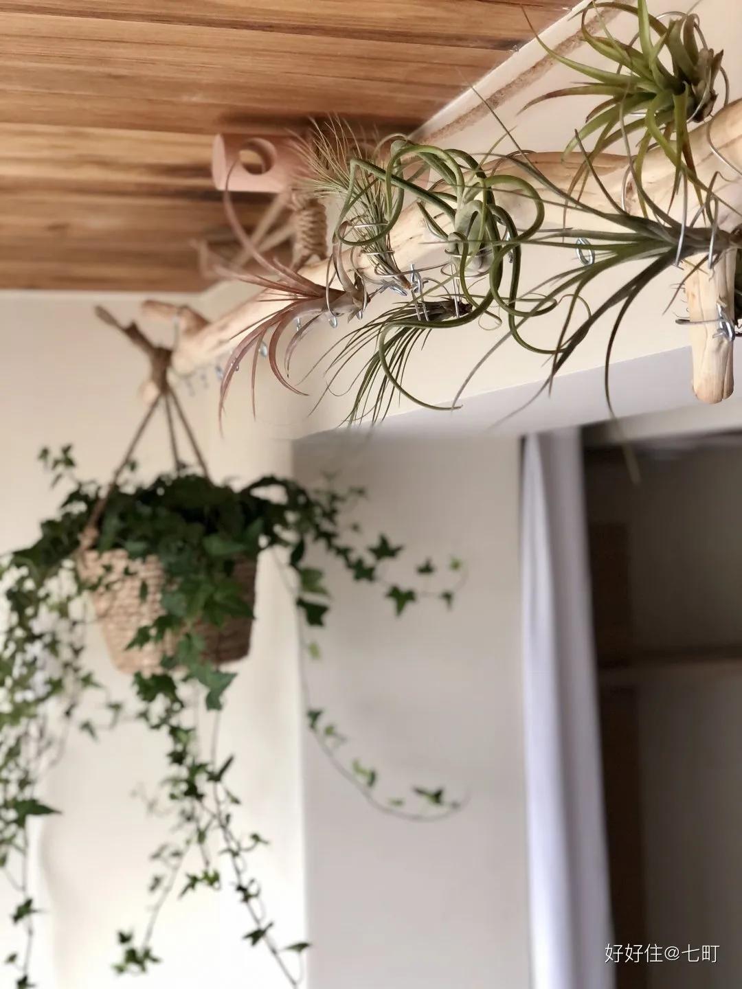 看完她家78㎡江景房，才发现最懂生活的，还是川渝人啊