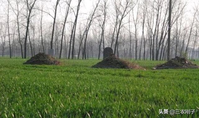 农村房子有坟墓怎么处理,农村房屋旁边有人建坟墓怎么处理