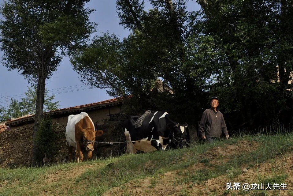 深度还原大同方言,大同方言集合