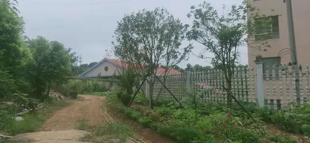 湖南陈先生30万自建农村小平房，有假山有菜园，占地1亩就是爽