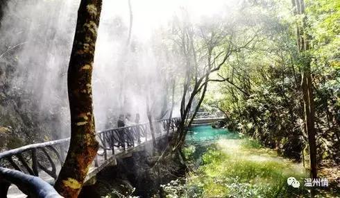 温州168海岸线沿途景点地图,温州60个免费景点大全