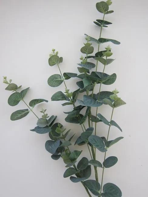 尤加利庭院,冷郁气质怎么形容