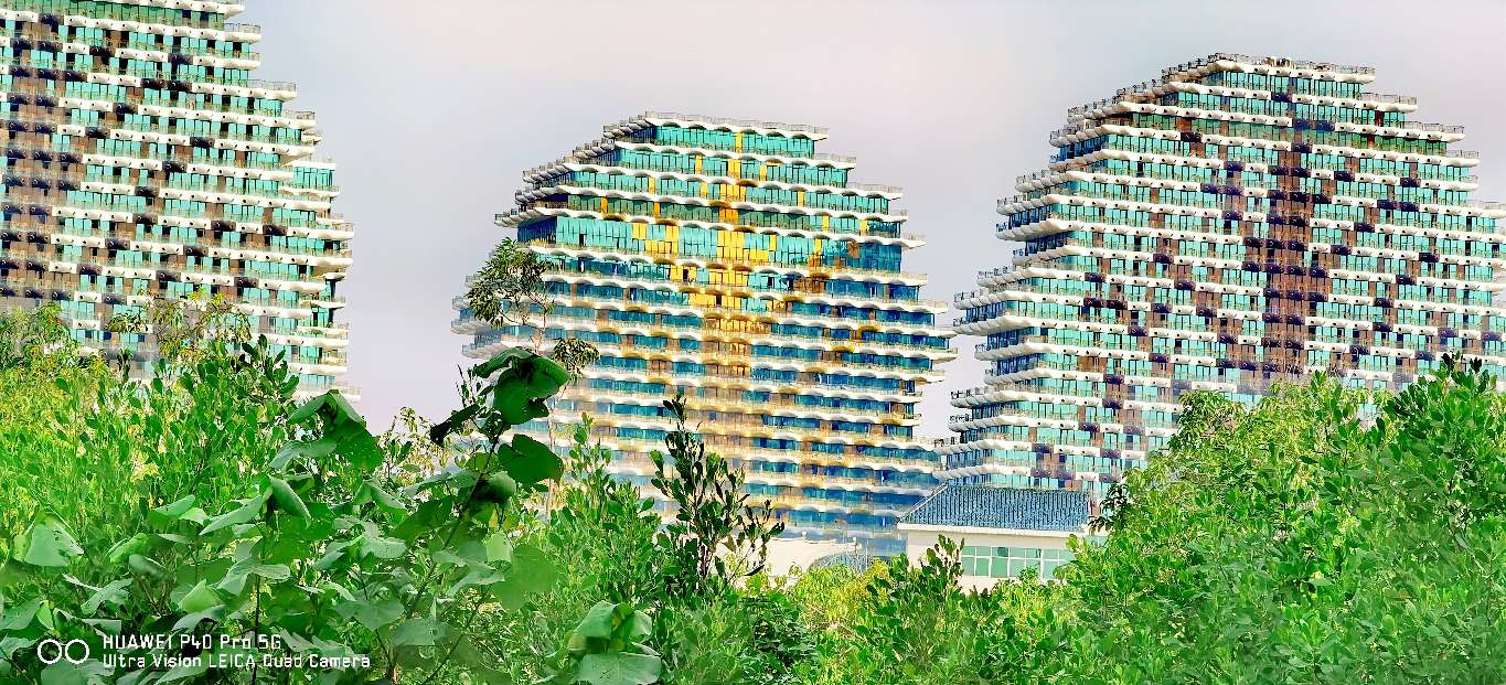 三亚地标性建筑美丽之冠大松树,三亚美丽之冠