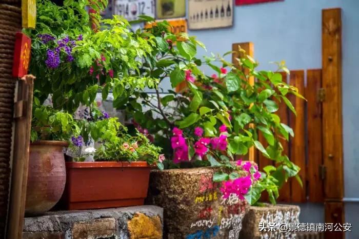 最暖心的50首诗词,最温柔的诗句100首