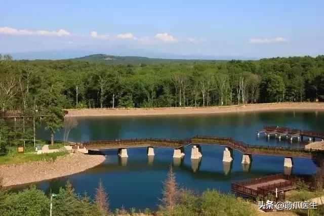 带宠物住宿酒店,带宠旅行酒店