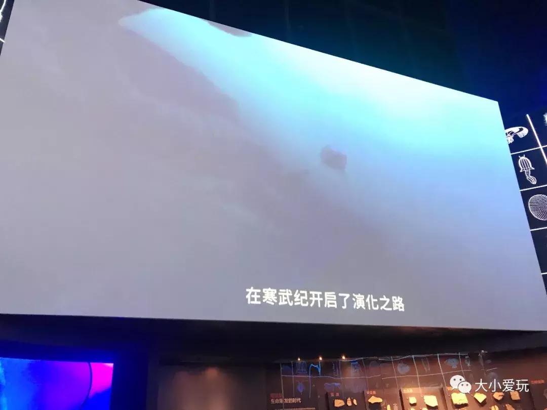 开放首日实探国家海洋博物馆，史上最抢手博物馆究竟长什么样