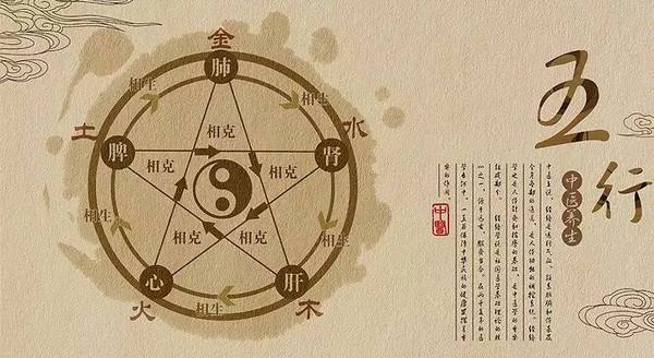 中医基础知识五脏六腑,中医五脏六腑基础知识