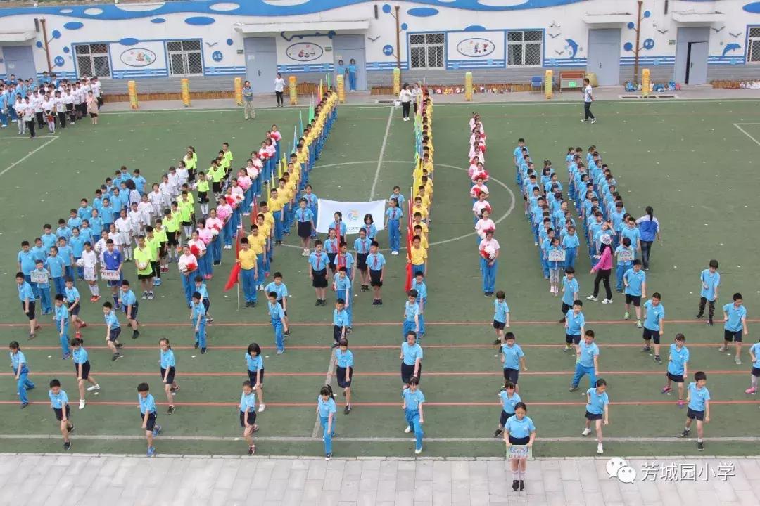 北京市丰台区小学生体育比赛,北京市丰台区芳草地学校运动会
