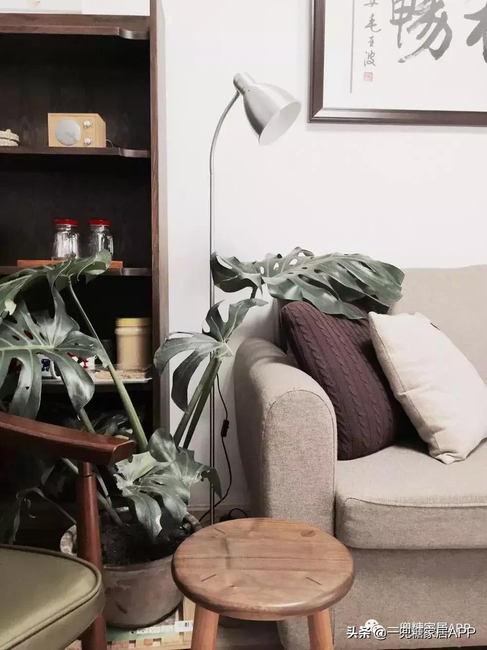 平价好用的灯推荐,推荐一款特价灯