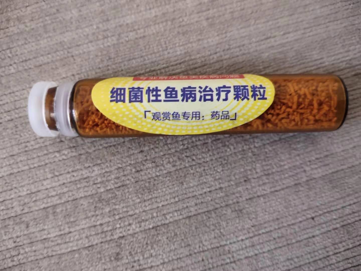 观赏鱼体表检疫,观赏鱼做检疫一次多长时间