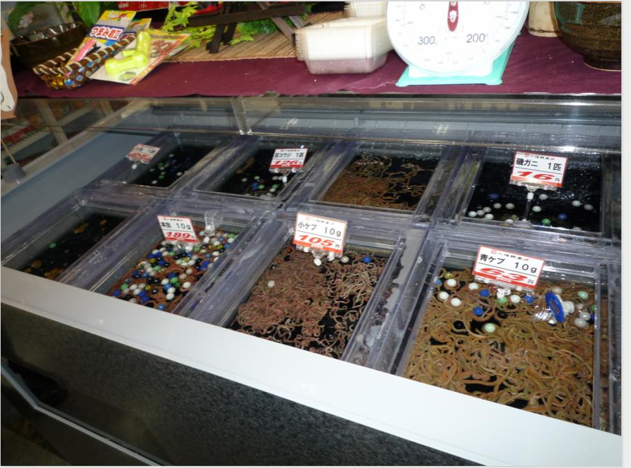 日本钓具大全,日本进口钓具专卖店