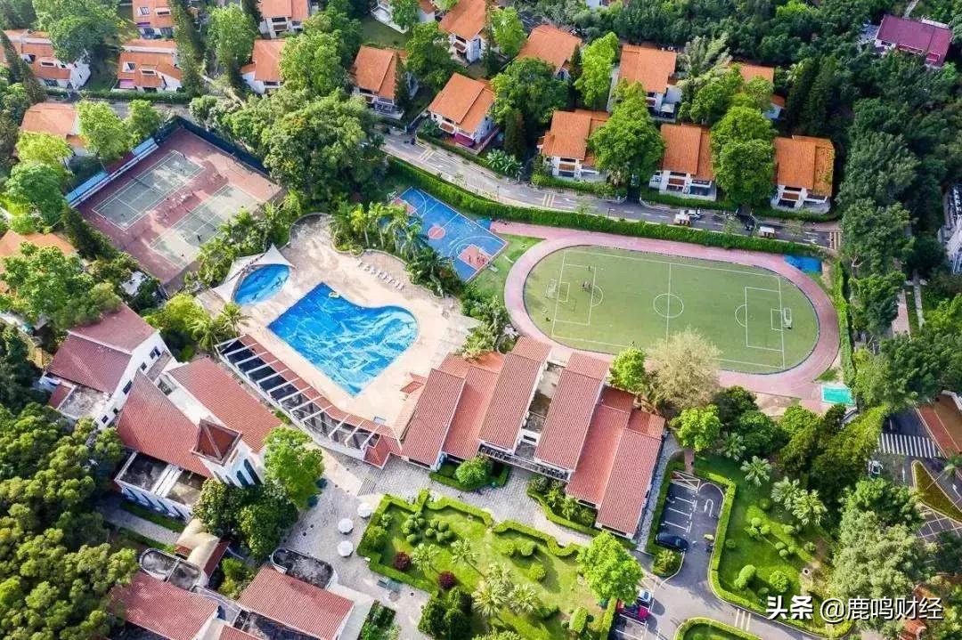 深圳蛇口前世今生,蛇口马老板前世今生