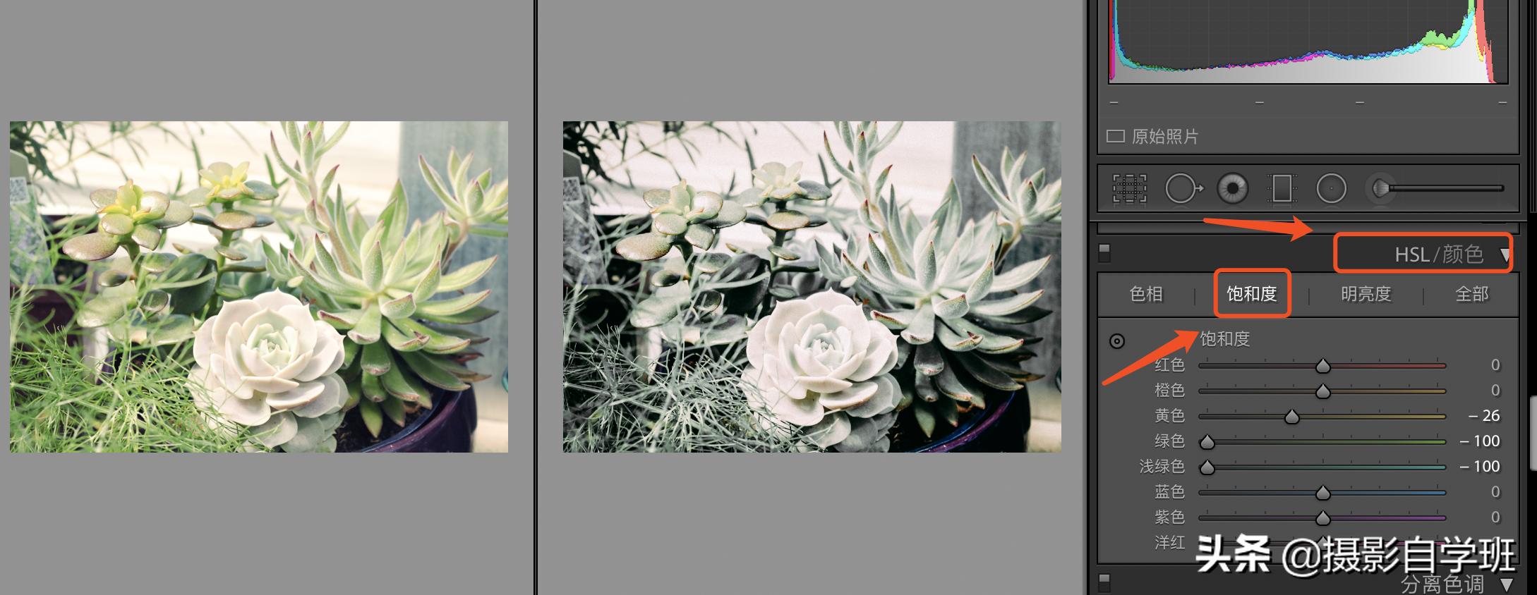 灰色显高级发色,高级灰风格照片的特点和调色方法