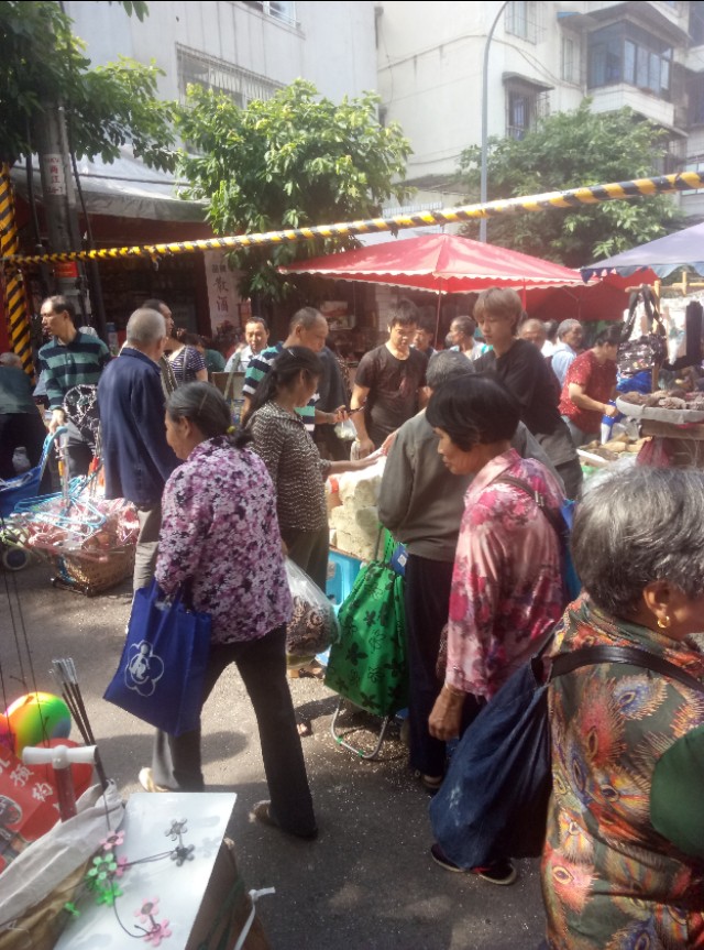 重庆渝北附近的猫狗市场,重庆九龙坡猫狗市场