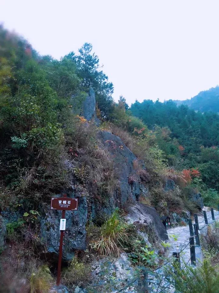 平江碧龙峡景区值得去玩吗,平江碧龙峡全长多少公里