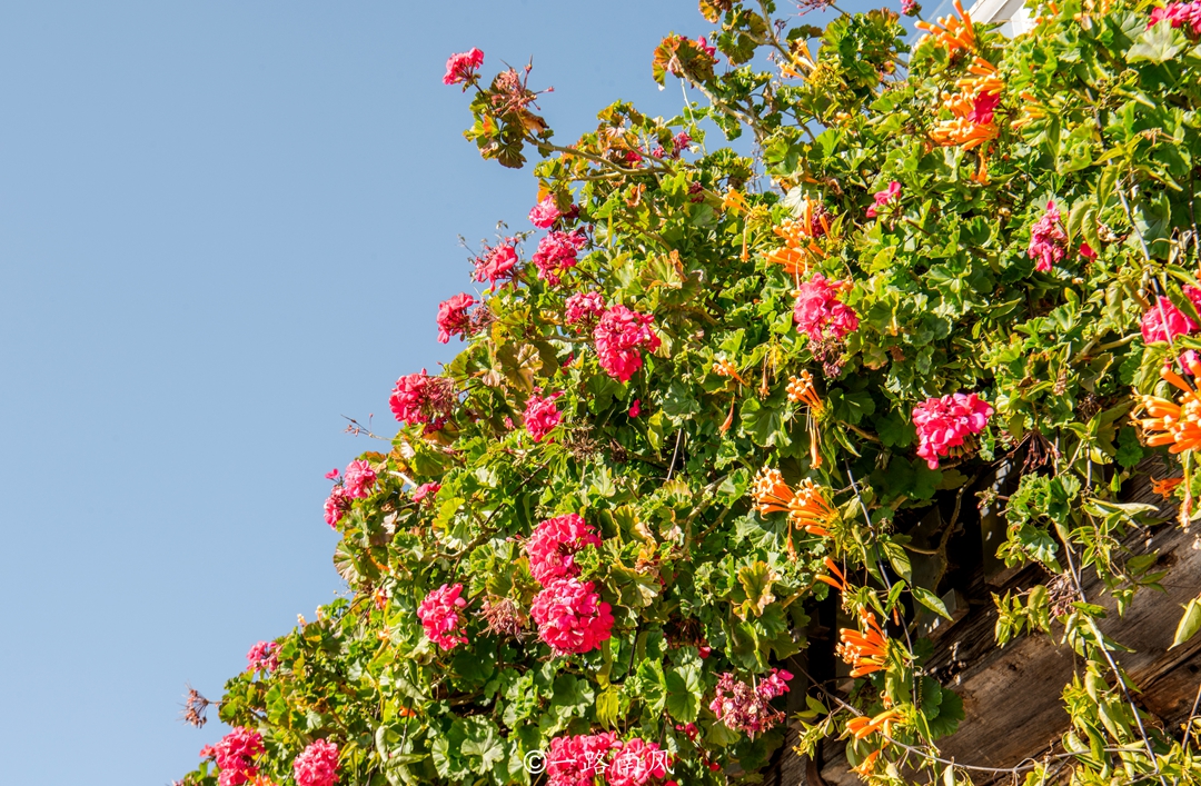 云南大理夏季适合避暑吗,云南大理是个好地方四季如春