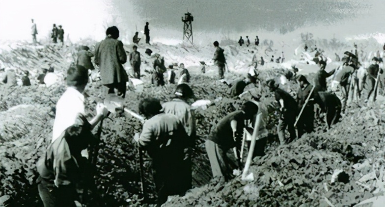 军农乳业，*疆新**特色乳品新兴力量