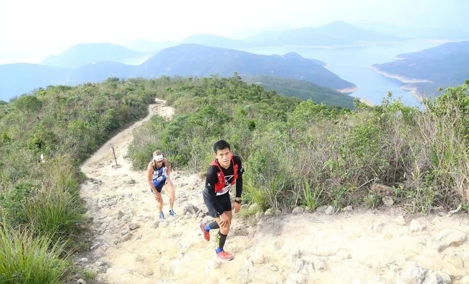 港百哪年开始的,港百最好成绩