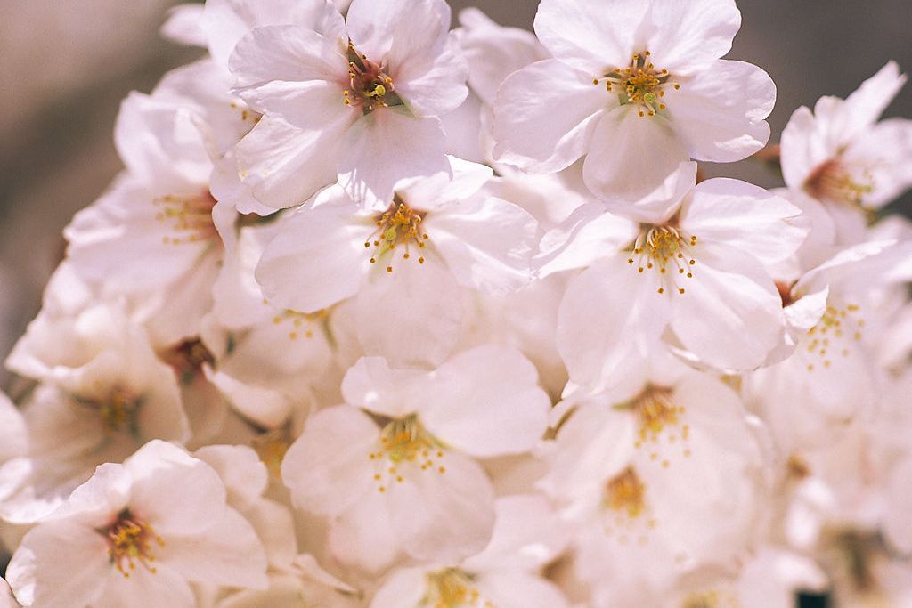双子座喜欢开朗还是不开朗,双子座隐藏的另一种性格准到可怕