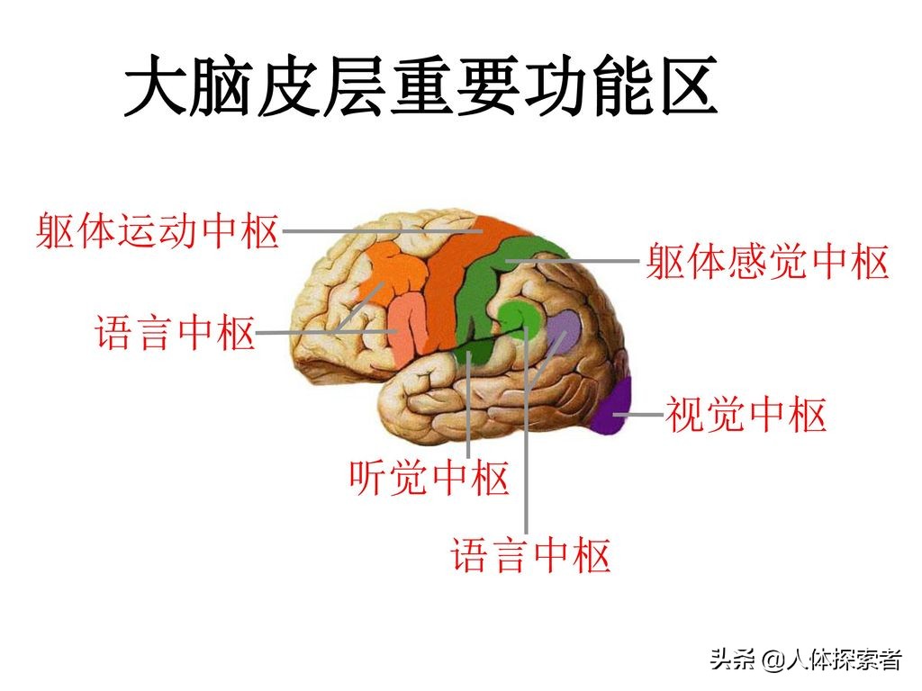 单纯的手指尖麻木是什么病兆,七种疾病早期症状