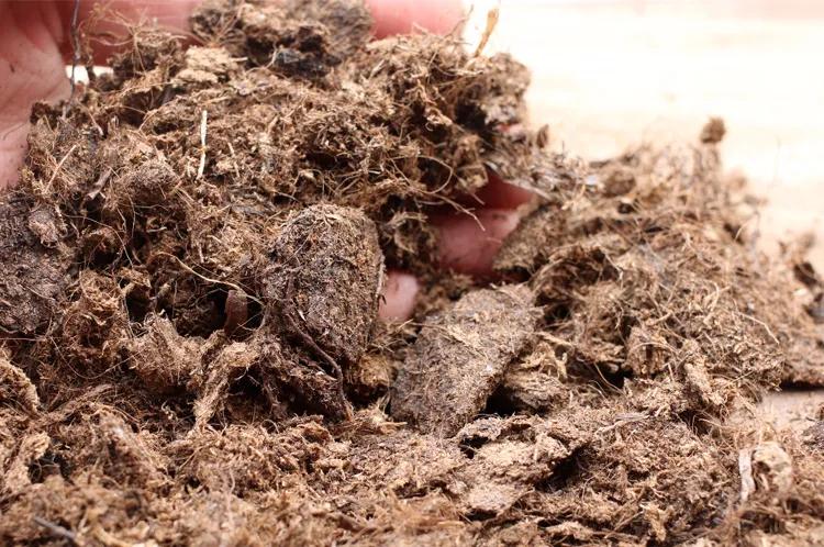 “雪”花那个PiaoPiao，这个世界真好