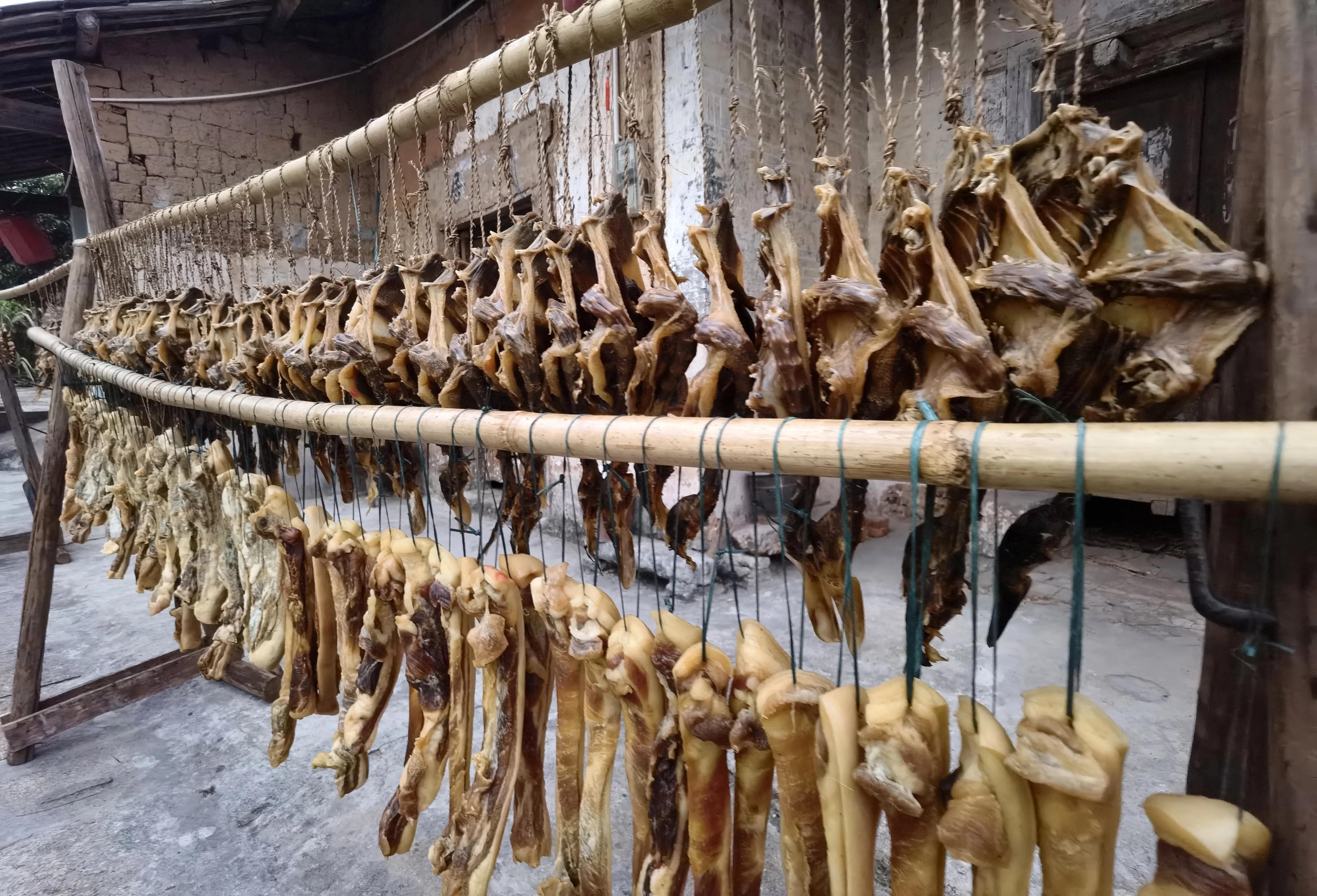 珠玑古巷历史简介,名副其实诗句