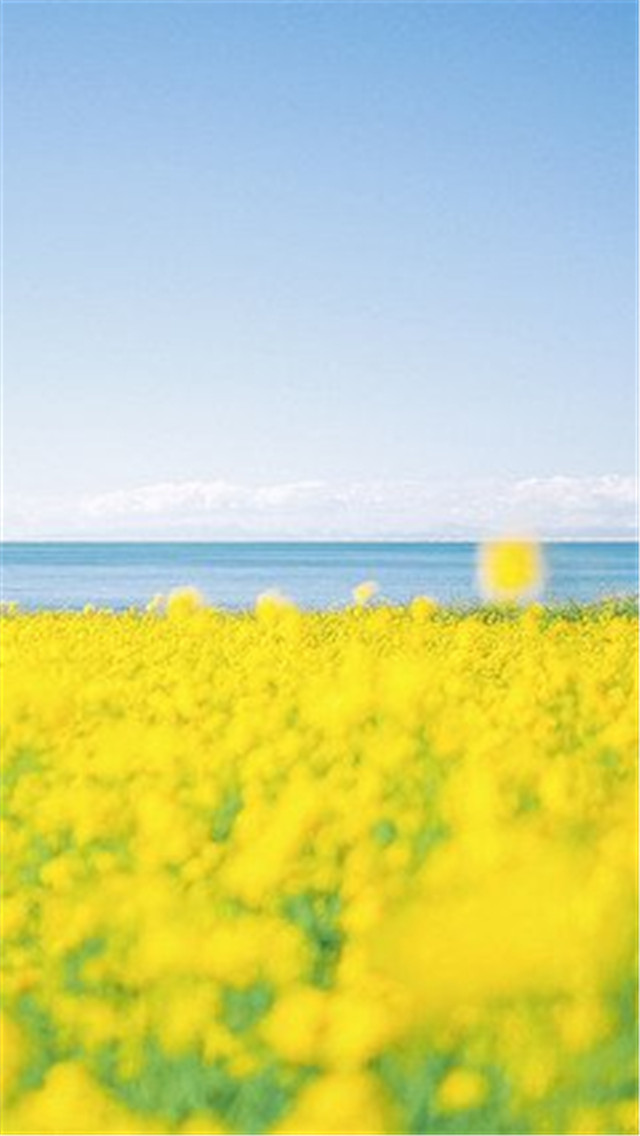 高清壁纸8k风景壁纸,风景壁纸超清手机壁纸