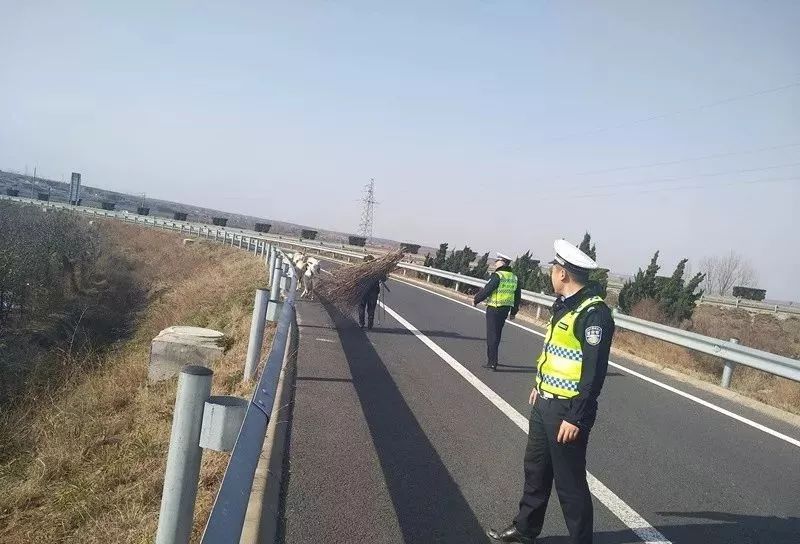 能上高速骑车吗,可以骑自行车绕过高速收费站吗