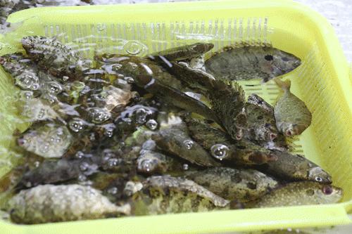 广州吃海鲜最便宜的地方2018年,广州的海鲜哪里又新鲜又便宜