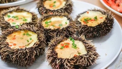 最美三亚自由行攻略,最美海岛三亚旅行