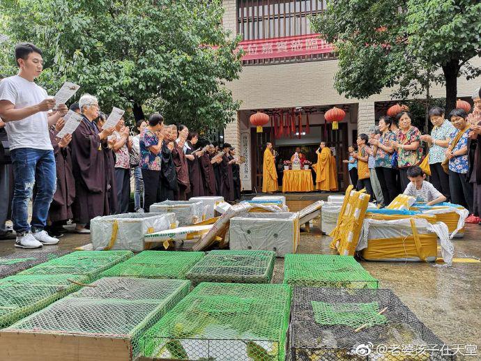 杭州保姆纵火案林生斌被曝光,杭州保姆纵火案林生斌一家人疑点