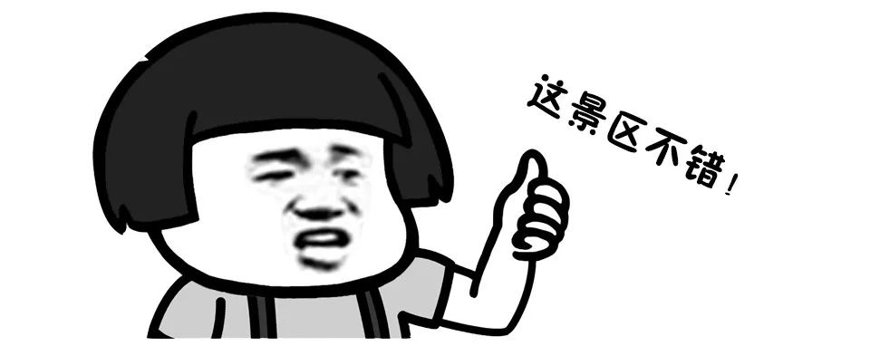 三清山旅游人数全国第一真实吗,三清山风景名胜区游客评价