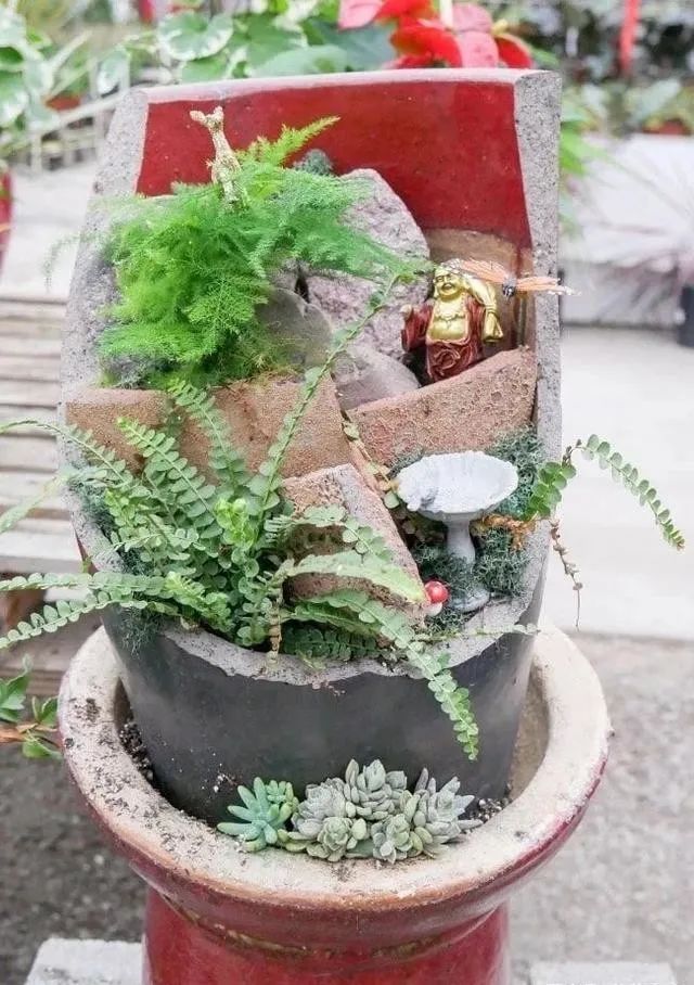 摔碎的花盆别扔做成盆栽超精美,打碎的花盆怎么变成宝