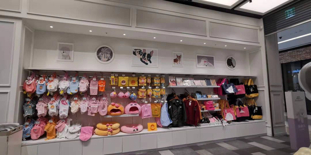 韩国宠物店推荐,韩国宠物店体验