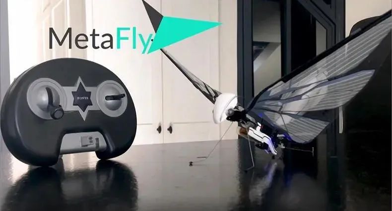 仿生鸟扑翼无人机,法国遥控仿生昆虫