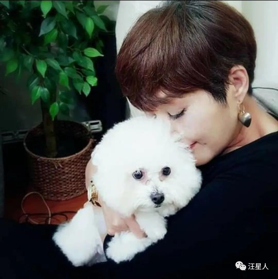 狗狗心脏病突发死亡需要多长时间,11岁的狗狗死了