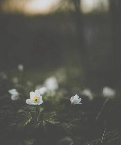 朋友得了抑郁症怎么相处,朋友得了抑郁症影视