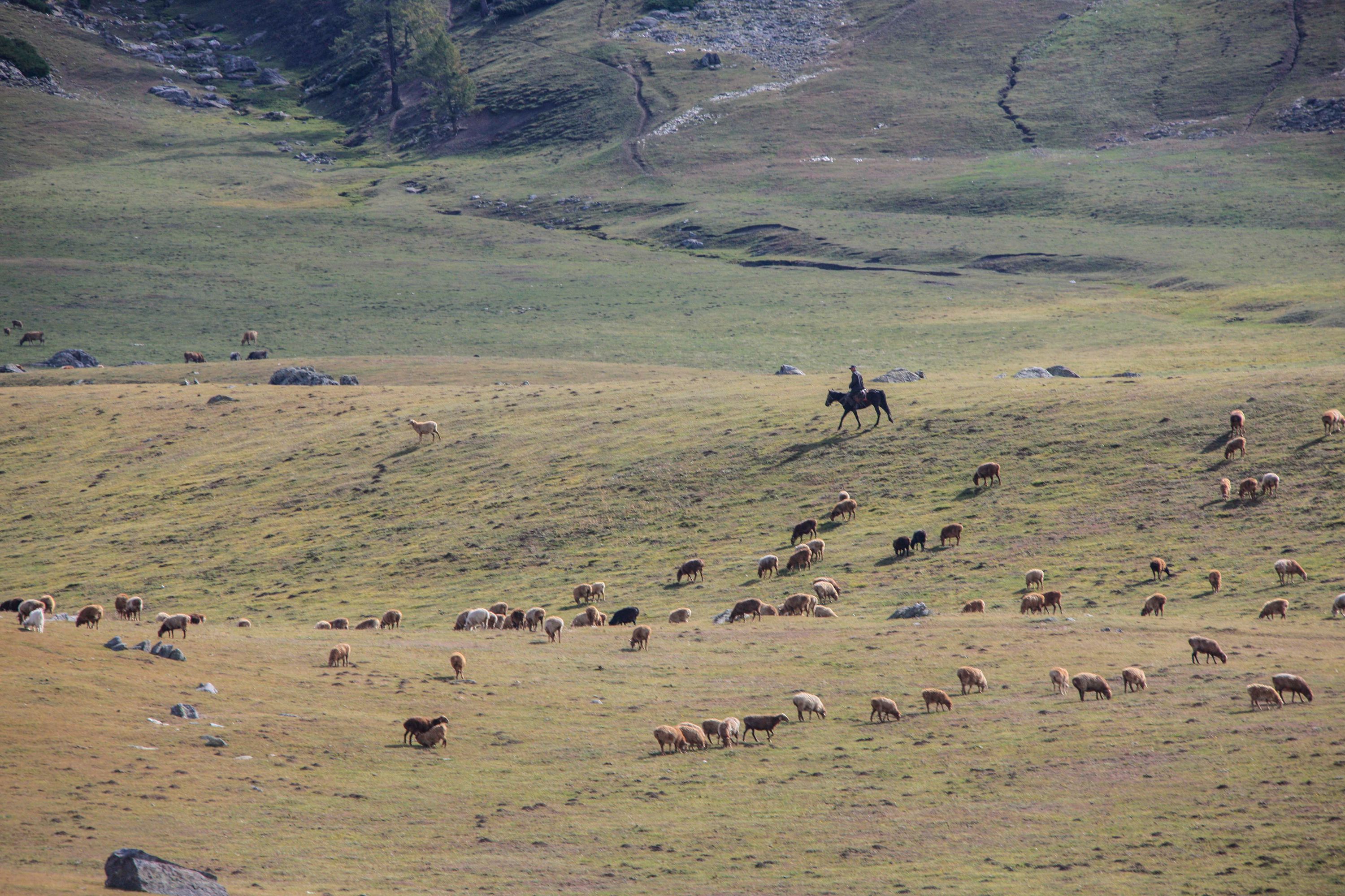 绮丽的原生态牧场,秀美善良的哈萨克姑娘,我的*疆新**南山牧场艳遇