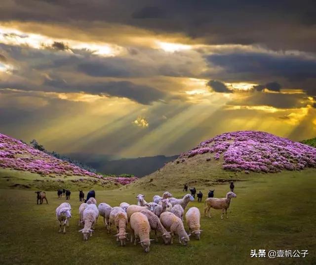 被大理的美景所折服,被丽江的风景美到了