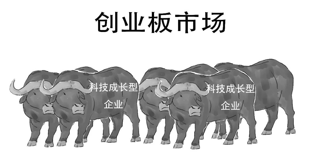 创业板注册制是什么时间开始的,创业板注册制是怎么规定的