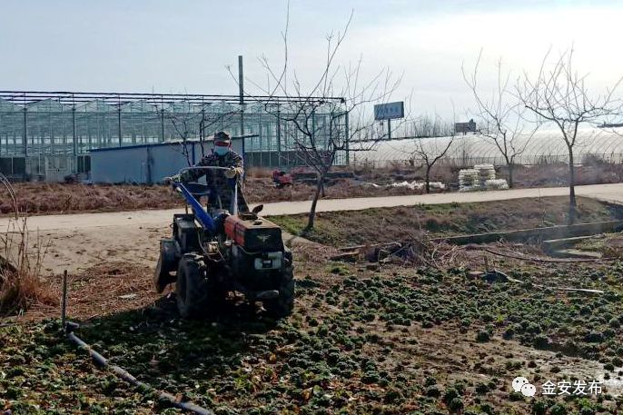 防疫春耕两不误，金安处处有期寄！