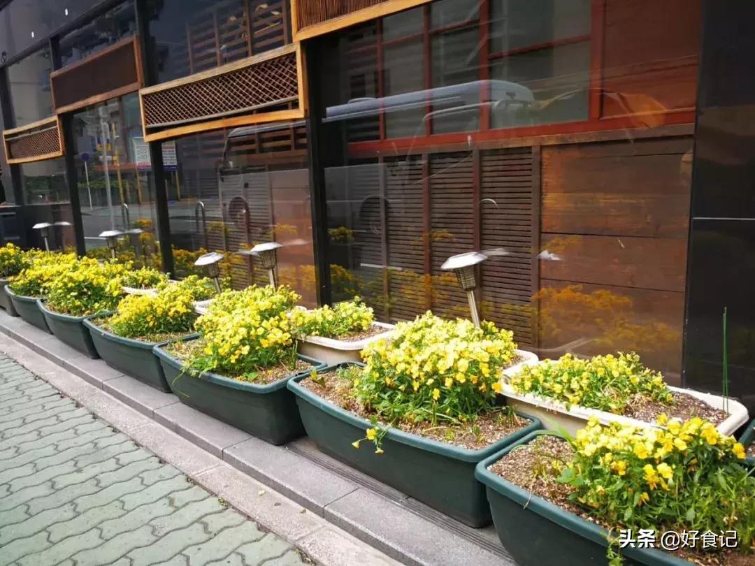 日本，如是我闻(上）