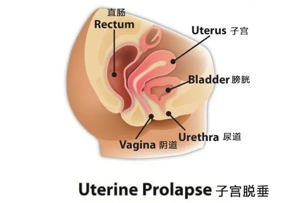 马伊琍微博发表文字,马伊琍转发