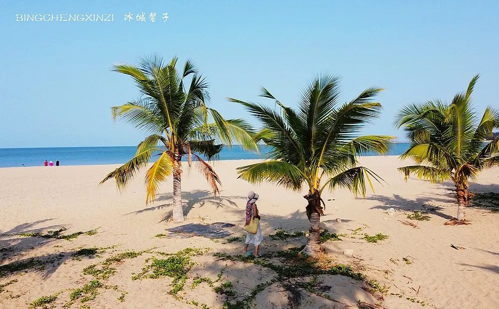 踏海听浪游泳的相关歌曲,听海的声音海浪拍打沙滩